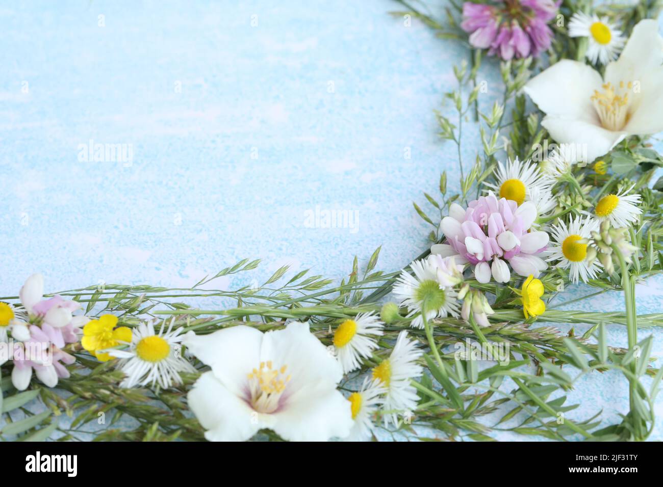 blue background with flowers frame and copy space Stock Photo - Alamy