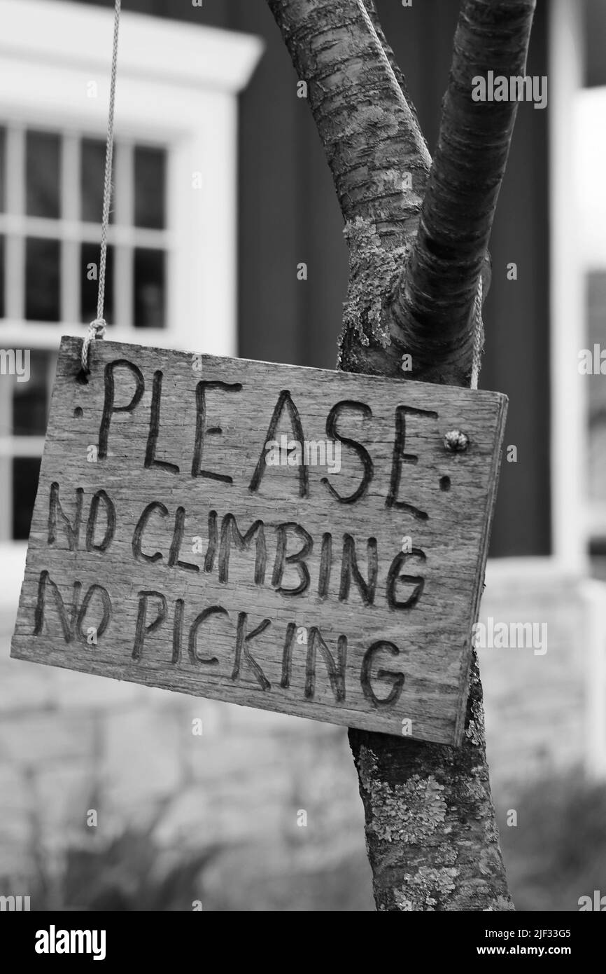 Wooden sign stating Please No Climbing No Picking in black and white