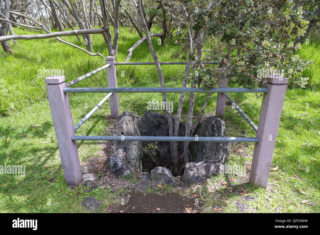 A lava tree mold on display inside the Big Island's Hawaii Volcanoes