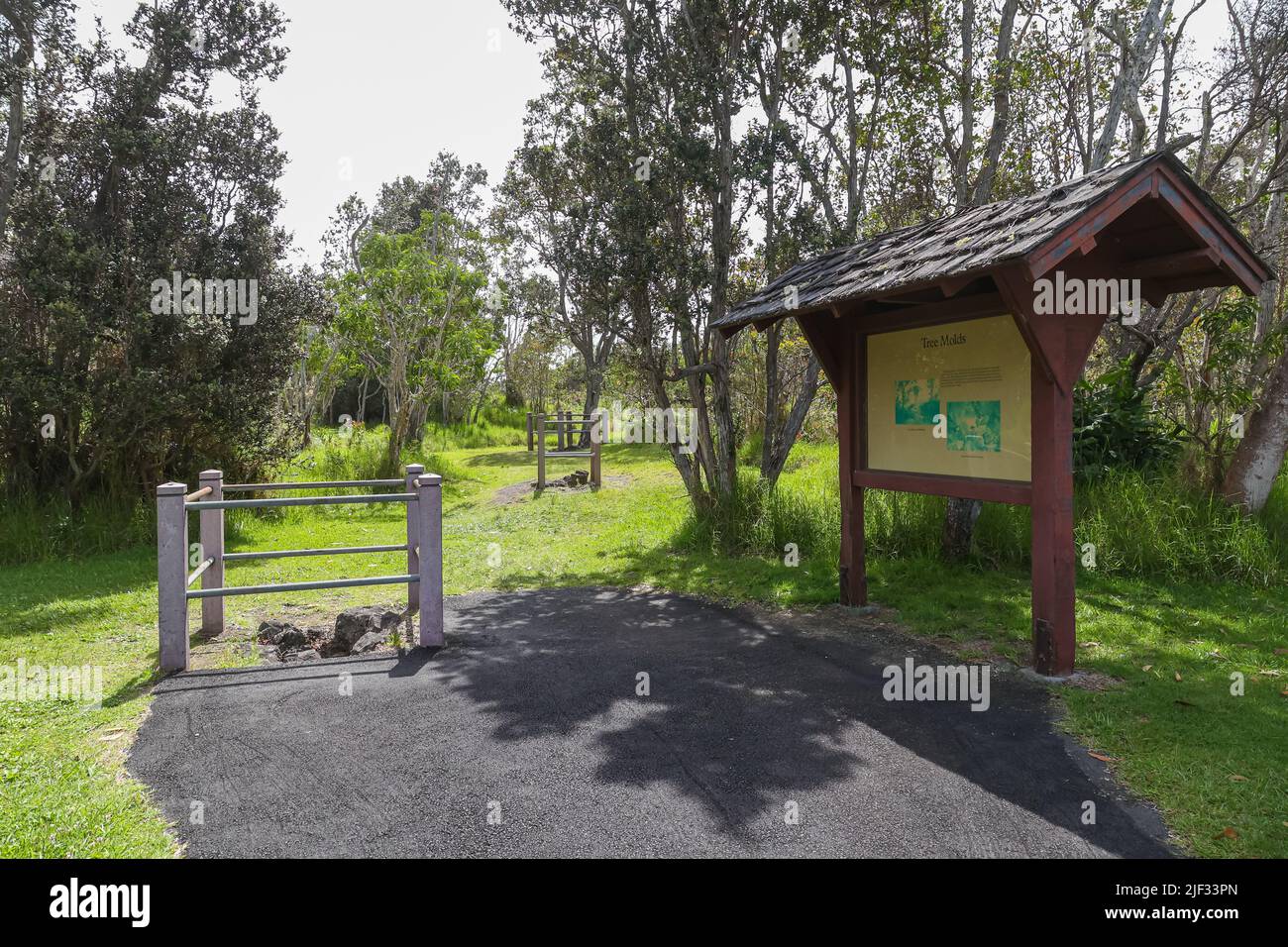 Lava Tree Molds with signage on display inside Hawai'i Volcanoes