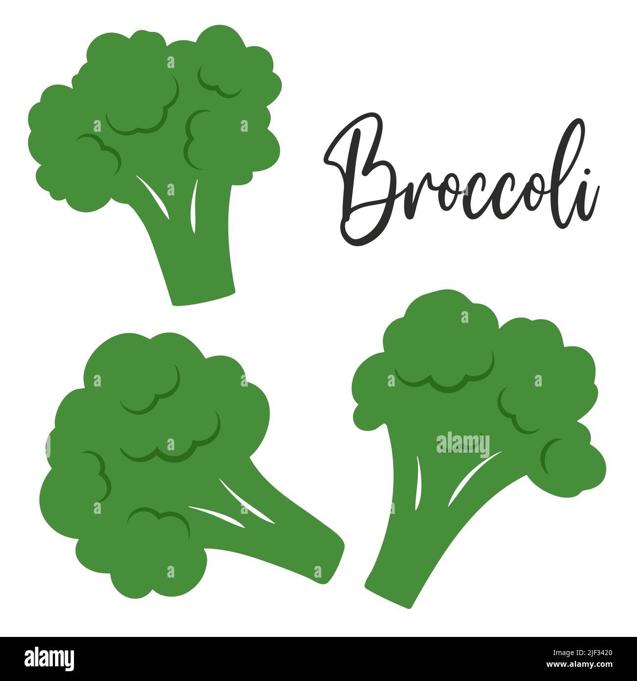 Fresh juicy green broccoli florets vector set Stock Vector