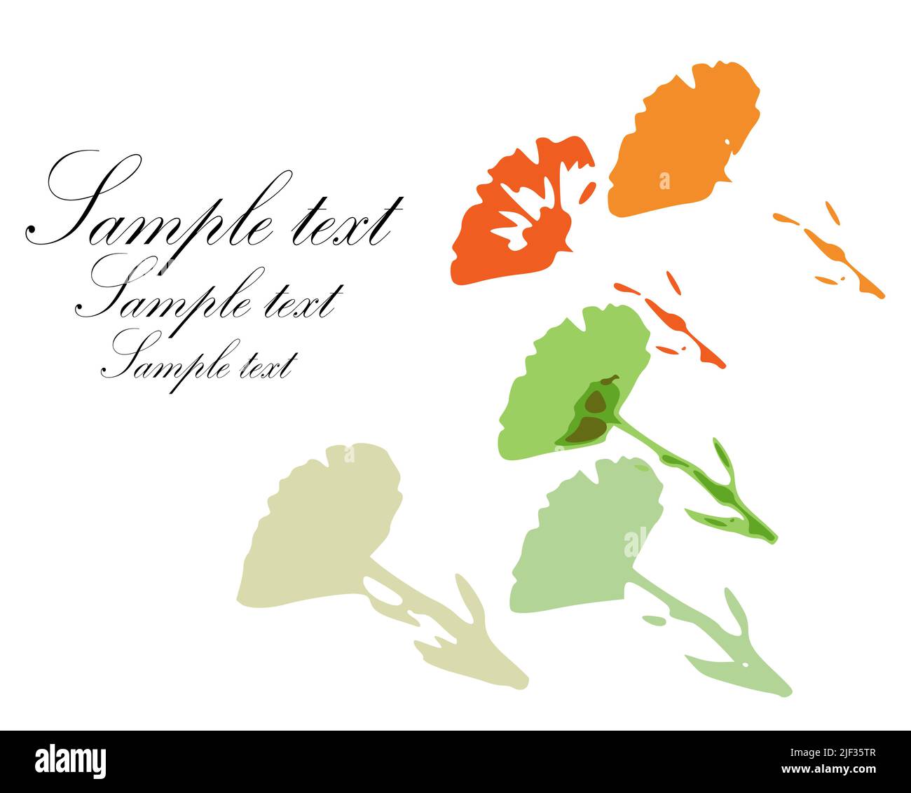 Painted marigold flowers. Vector background Stock Vector Image & Art