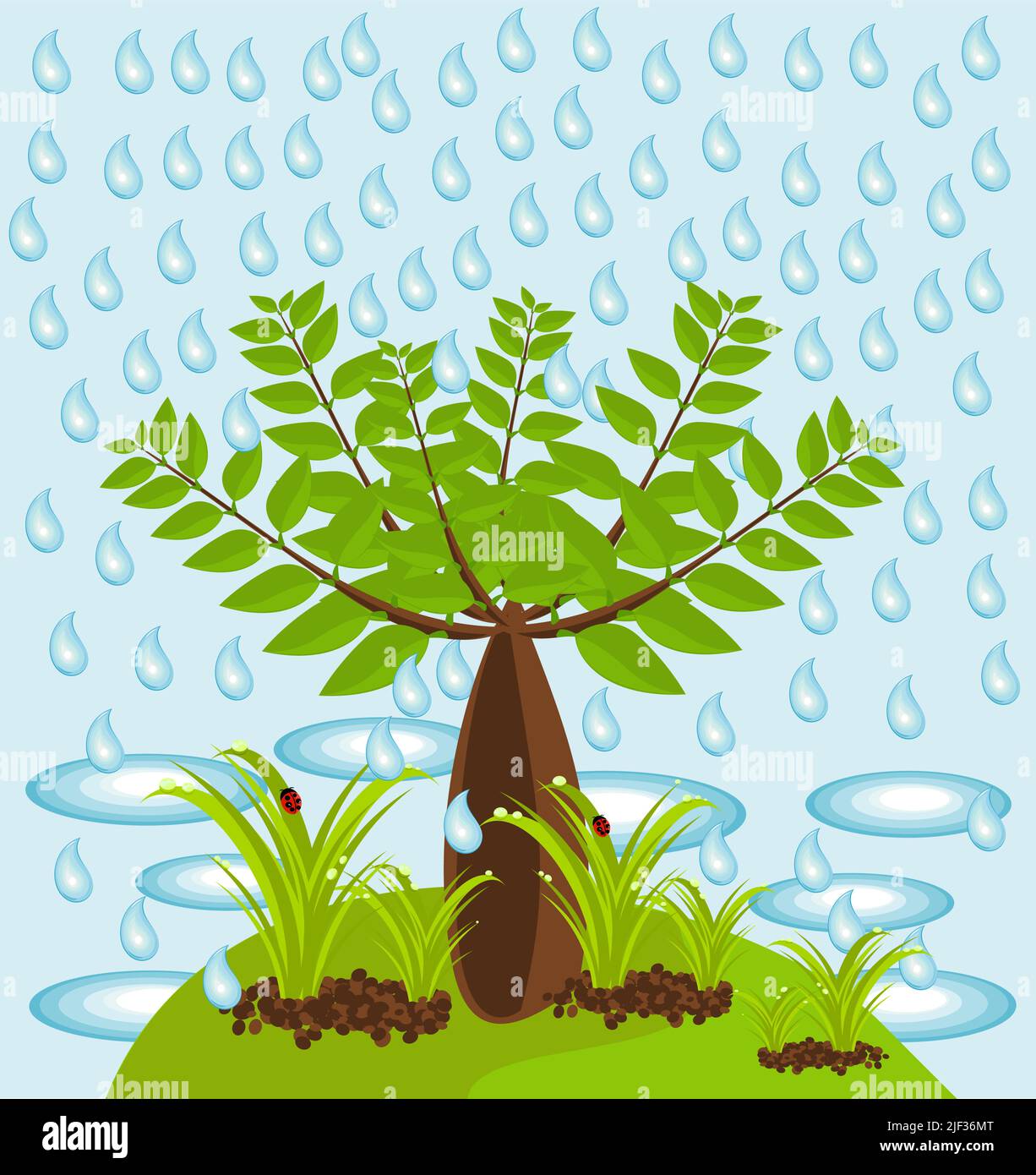 An isle with big baobab tree and plants in rain Stock Vector