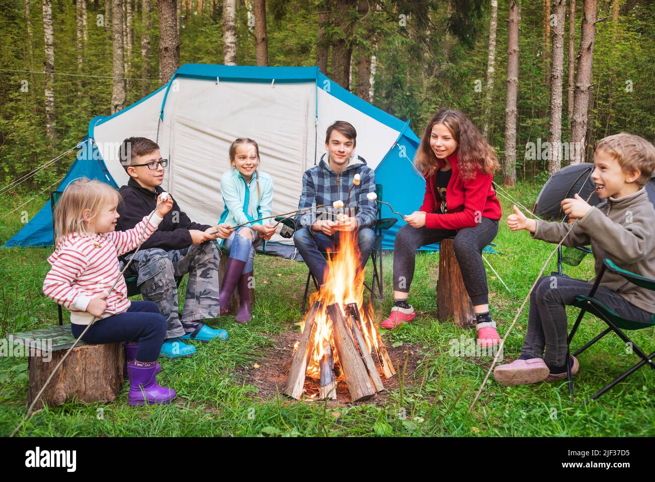 Six children of different age sitting together around burning bonfire roasting marshmallows while camping in a summer forest. Camping tents are seen i Stock Photo