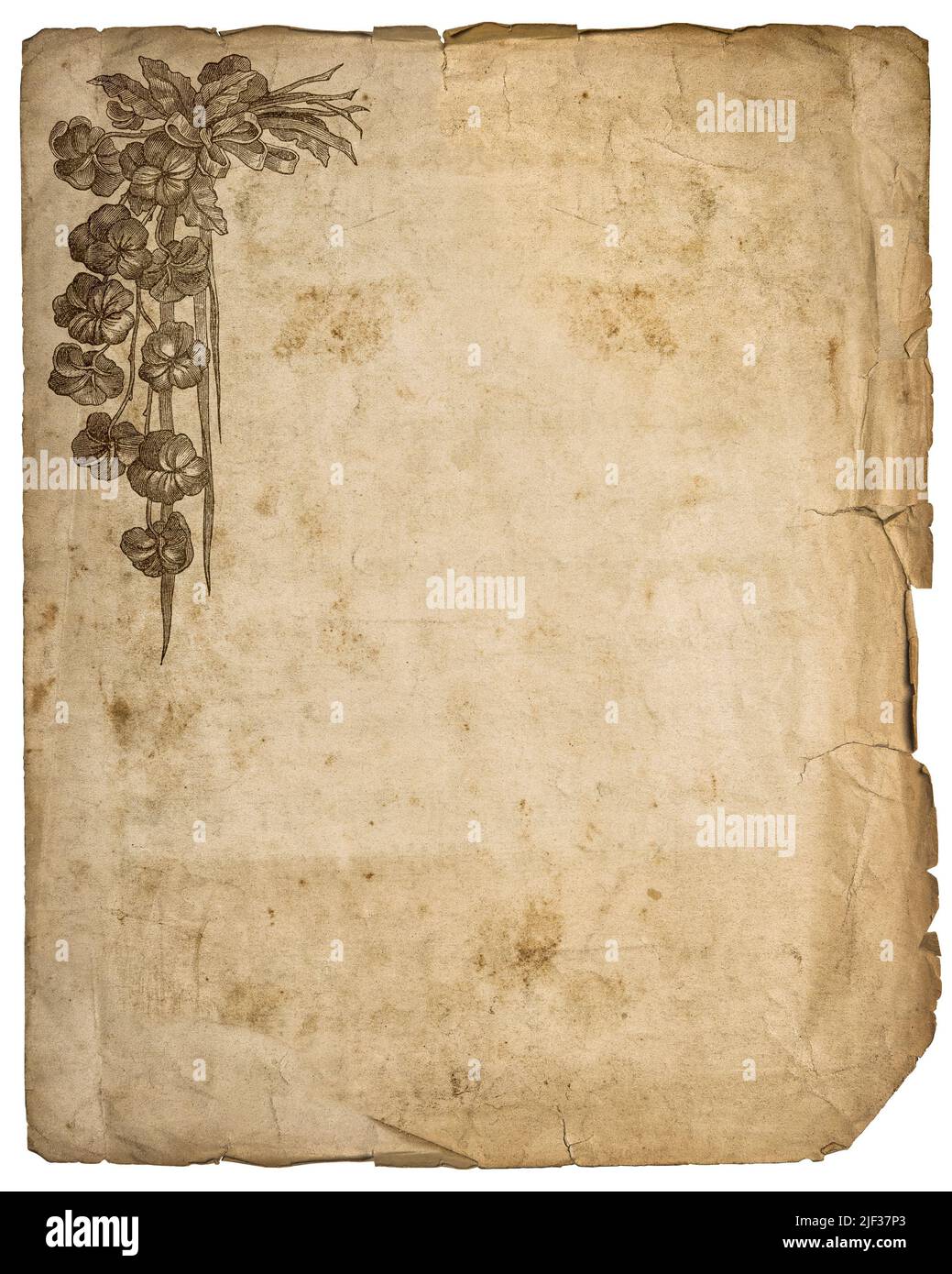 A4 paper torn Immagini senza sfondo e Foto Stock ritagliate - Alamy