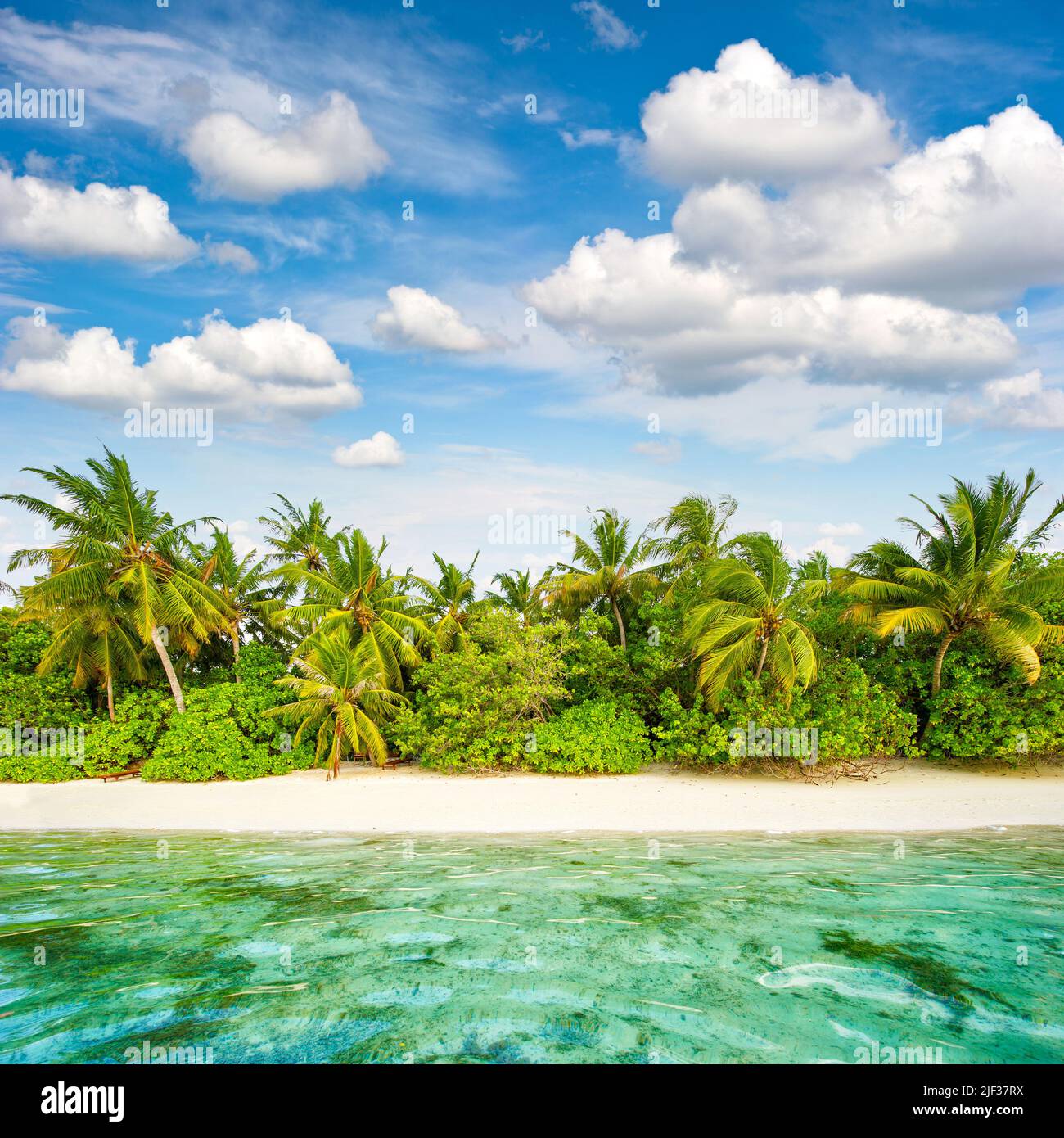 Summer vacation. Sand Beach. Palm Trees. Cloudy blue sky. Tropical island landscape Stock Photo