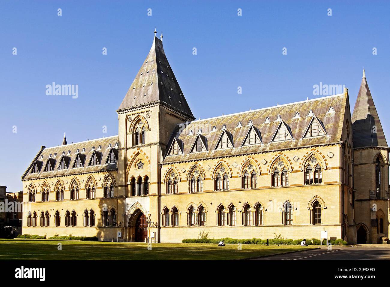 Oxford University Museum of Natural History , United Kingdom, England, Oxfordshire, Oxford Stock Photo