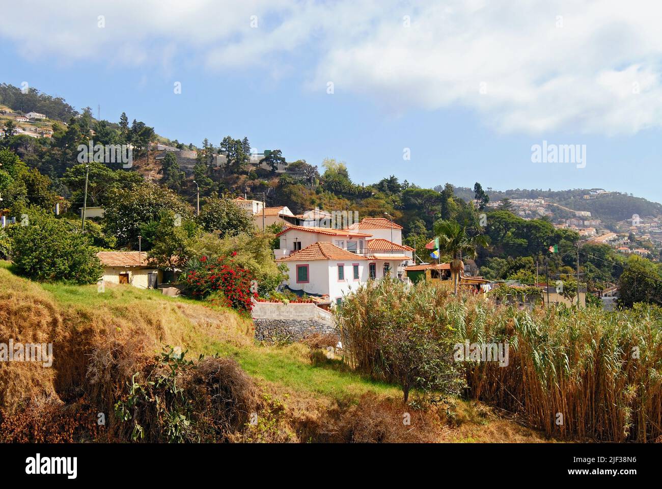 , At the Periphery of Funchal, Madeira, Funchal Stock Photo