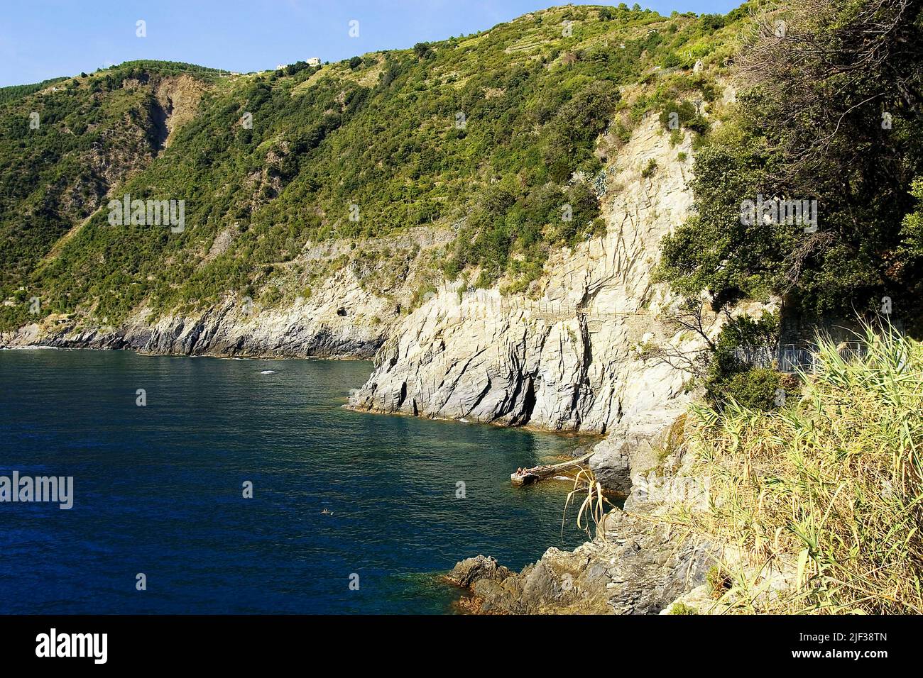 Cinque Terre National Park near Riomaggiore at the Ligurian Coast, Italy, Liguria, Cinque Terre National Park, Riomaggiore Stock Photo