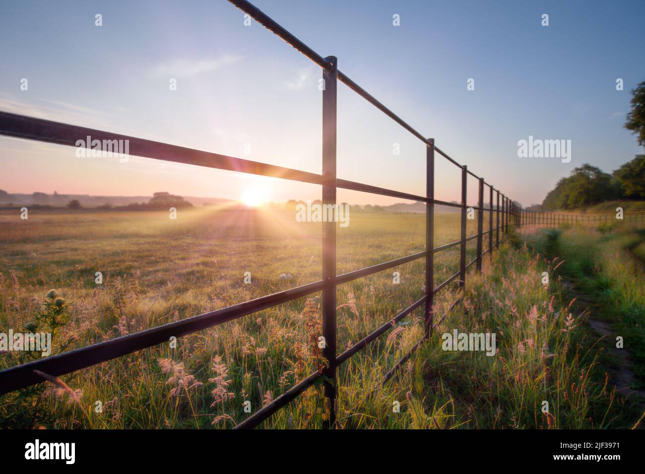 Metal agricultural farm fence and wild meadow landscape at sunrise in Norfolk. Clear skies ar dawn with footpath Stock Photo