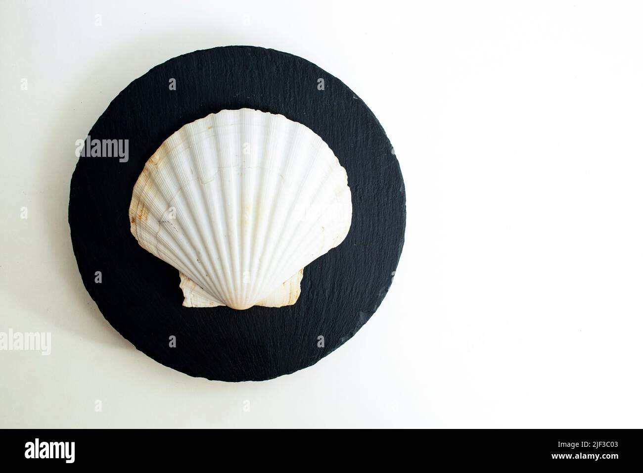 Huge sea shell on a round black stone tile, isolated on white backgroud Stock Photo