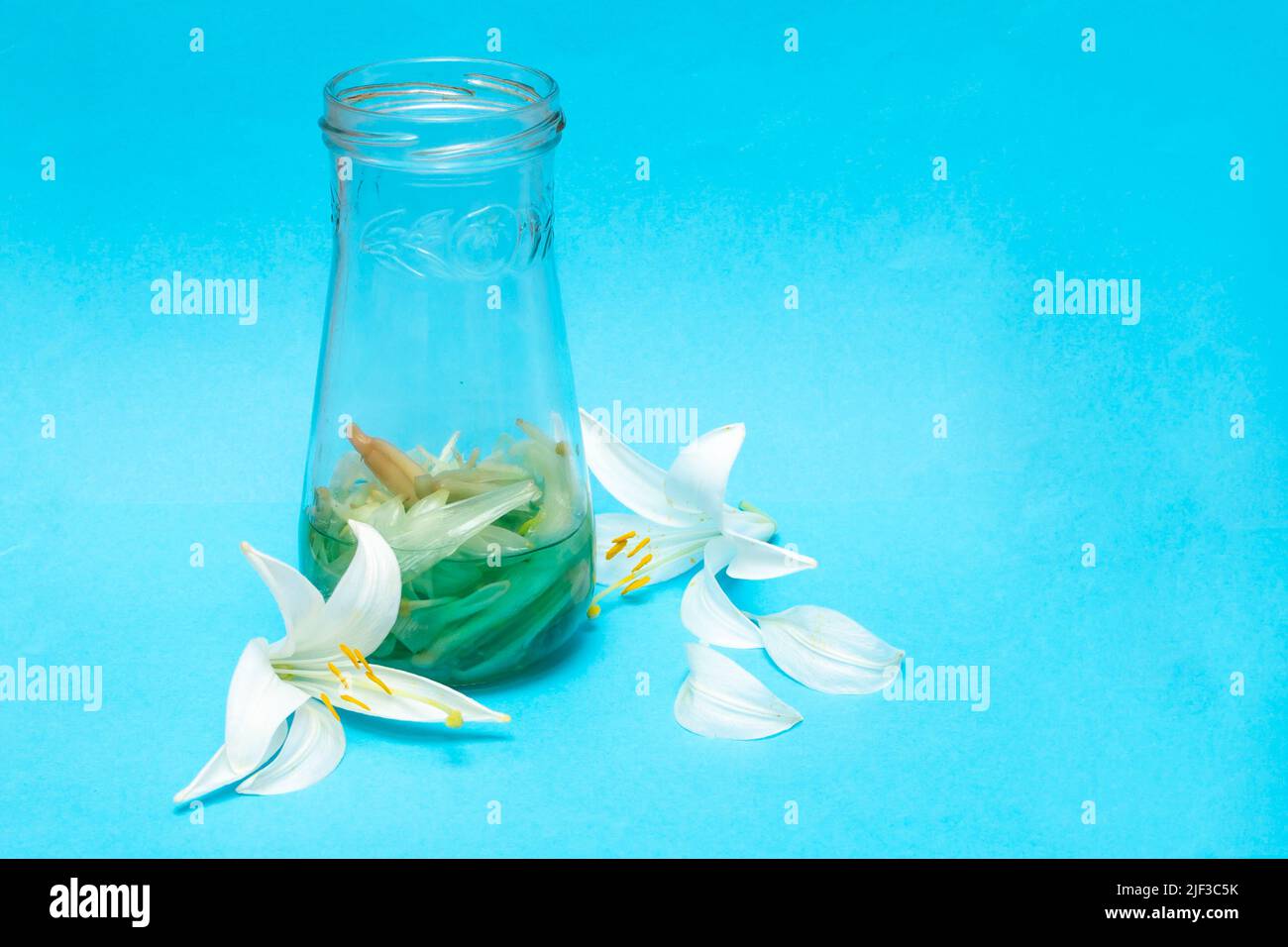 White lily tincture, home made with sanitary alcohol and flower petals