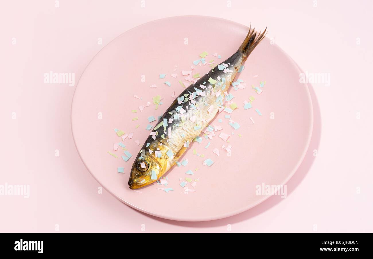 Fish covered microplastic on a pink plate. Impact of micro plastic on the food chain. The idea of microplastic pollution. Concept of environmental dam Stock Photo
