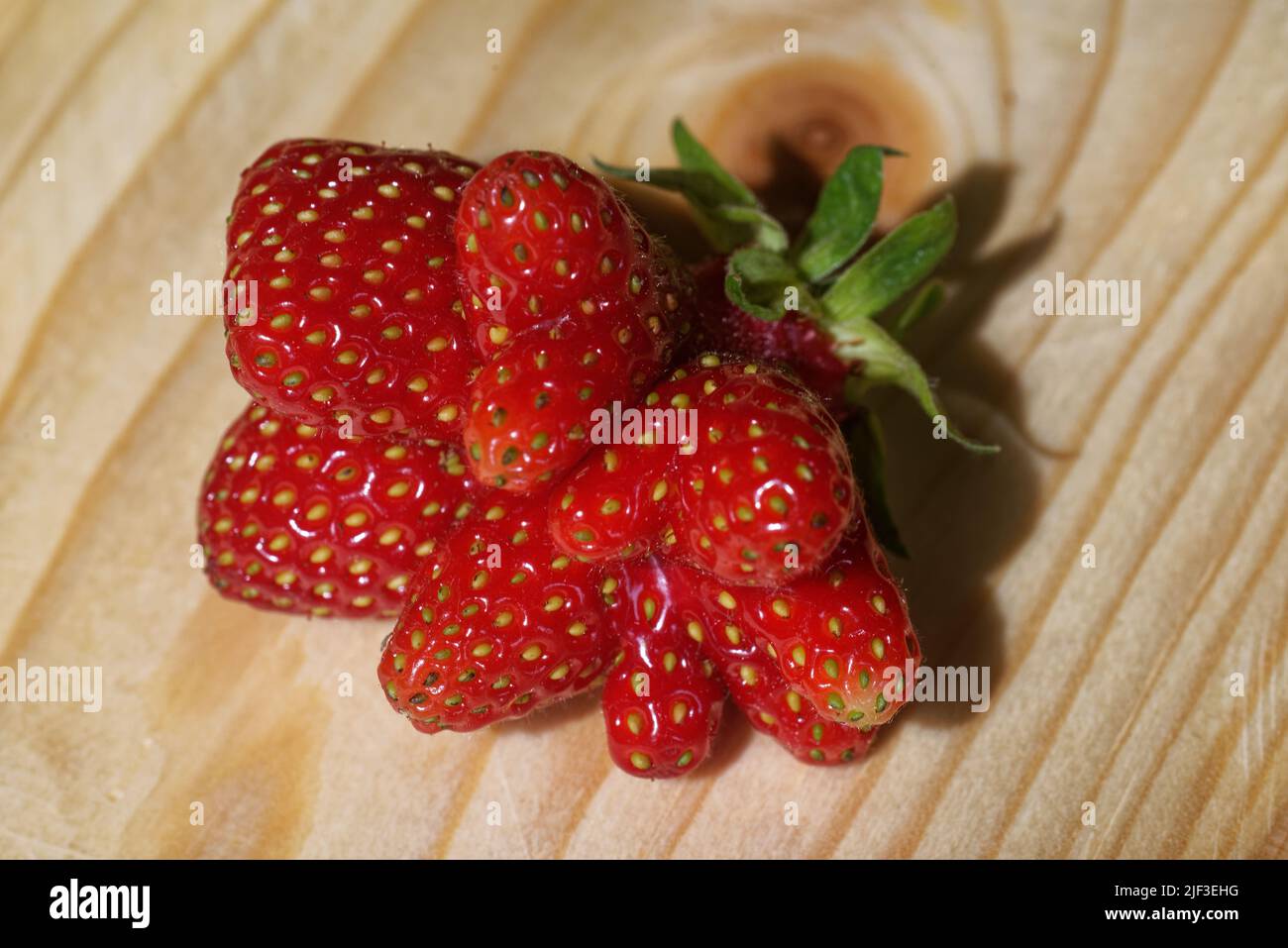 Garden strawberry (or simply strawberry; Fragaria × ananassa) is a widely grown hybrid species of the genus Fragaria, collectively known as the strawb Stock Photo