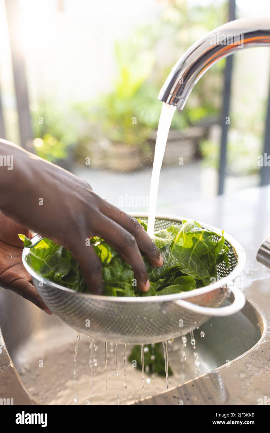 Cropped hands of african american mid adult man cleaning leaf vegetables in sink under running water Stock Photo
