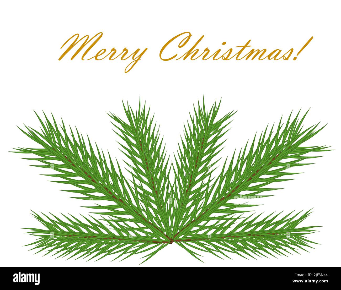 Christmas fir branch on greeting card Stock Vector Image & Art - Alamy