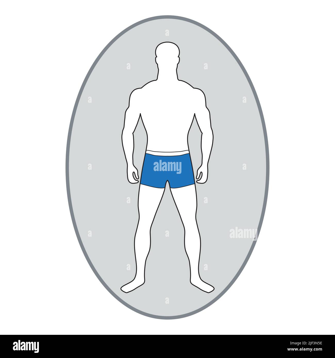 Slender tall man with muscular figure in blue swimming trunks. White male figure in full growth. Adult vector character. Correct physique and body pro Stock Vector