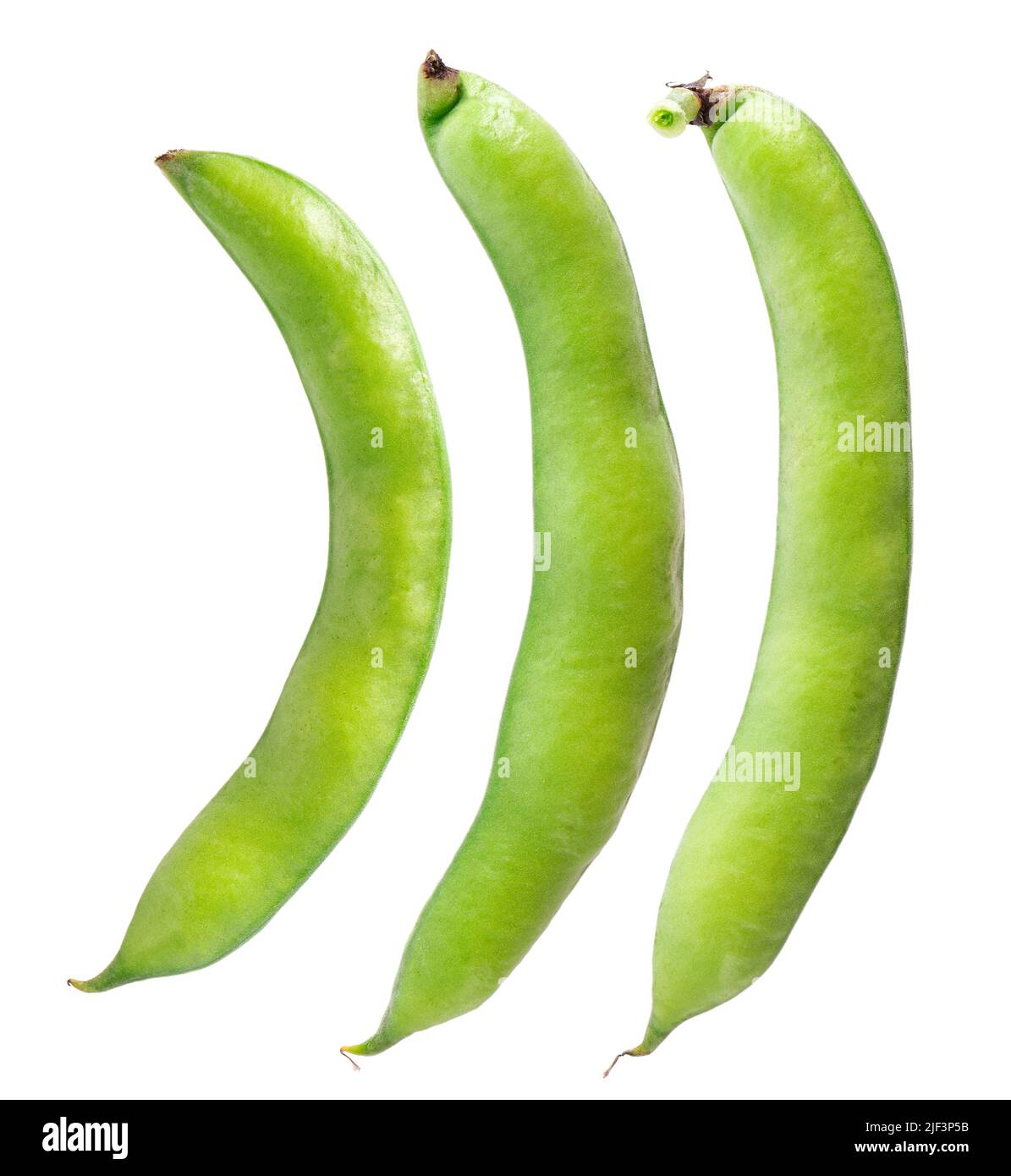 Fresh broad beans in pods isolated on white background. Fava beans. Top