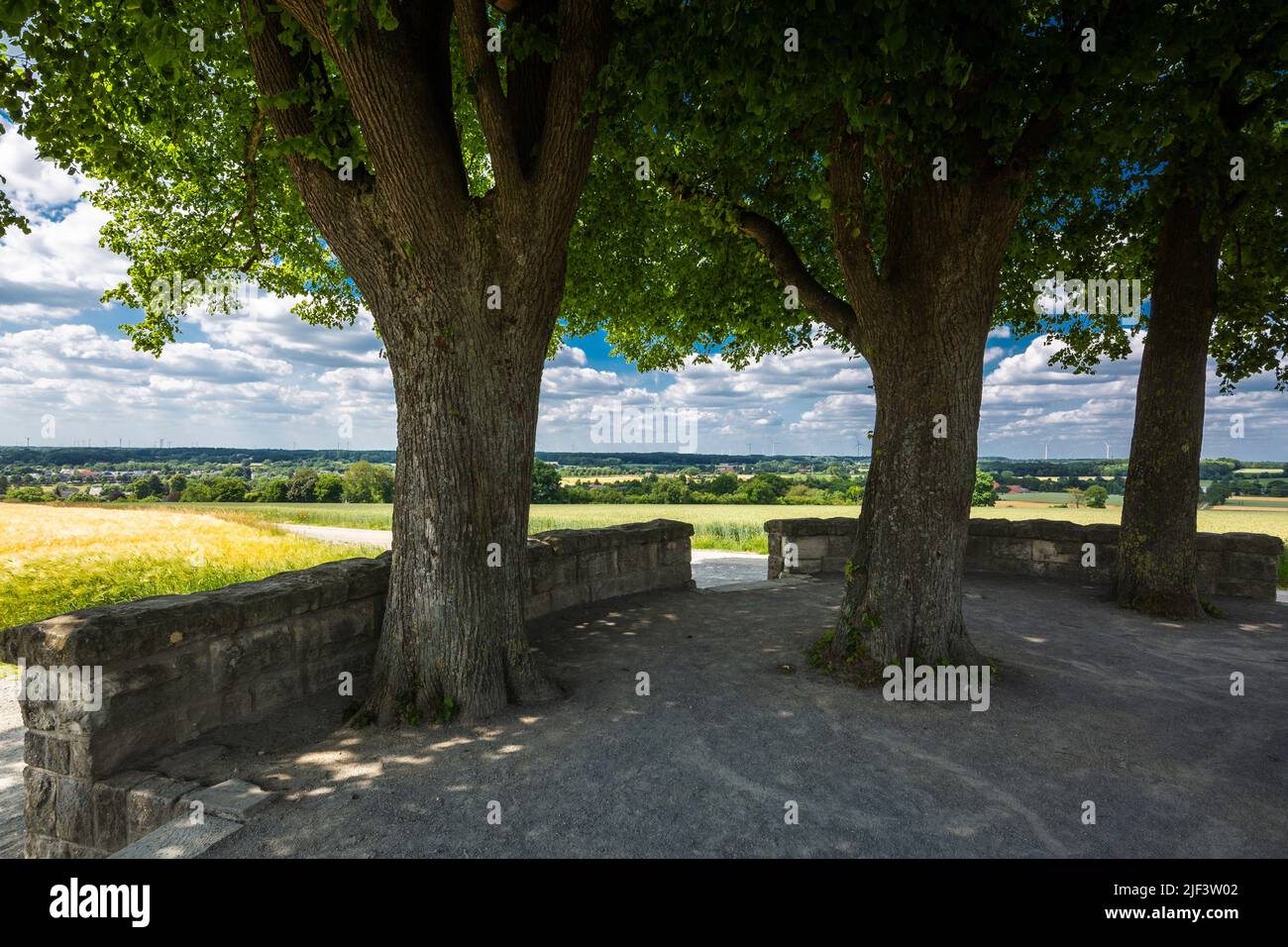Germany, Coesfeld, Berkel, Baumberge, Muensterland, Westphalia, North Rhine-Westphalia, NRW, Drei Linden Hoehe on the Coesfeld Hill, observation point Stock Photo