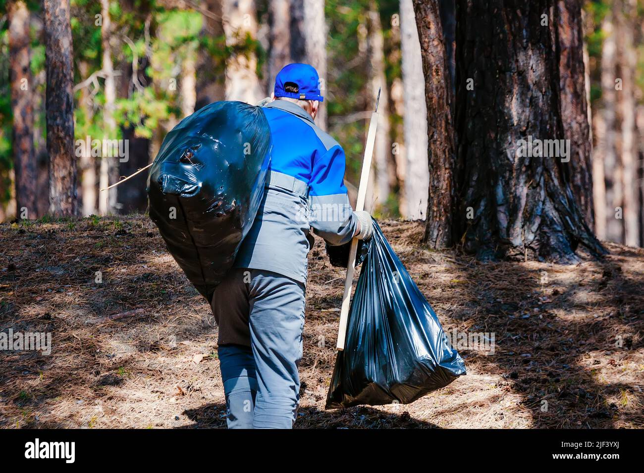 Volunteer collects garbage in forest in large plastic bags on summer day. Man in overalls carries bag of garbage on his shoulder. Rear view. Cleaning of forests from pollution and household waste. Real scene. Stock Photo