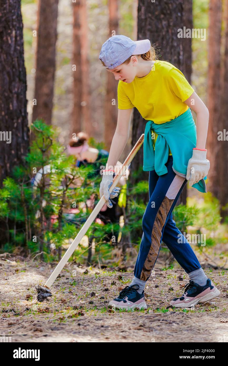 Little girl picks up trash in woods on summer day. Ecological action. Child in yellow T-shirt cleanses nature of pollution and trash. Real scene. Background. Stock Photo