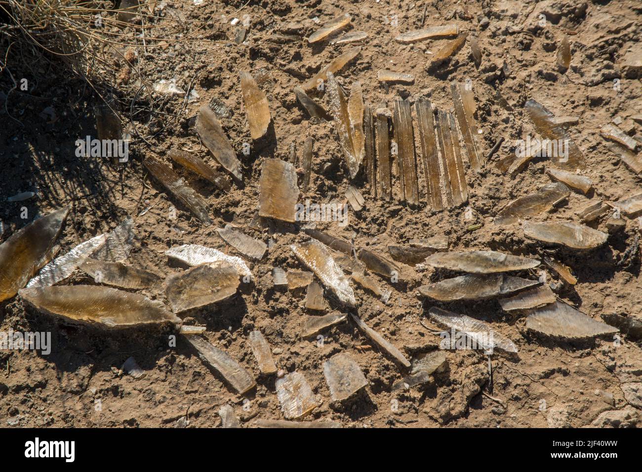 Desert landscape in New Mexico, gypsum crystals at the bottom of a dried lake, Lucero Lake Stock Photo