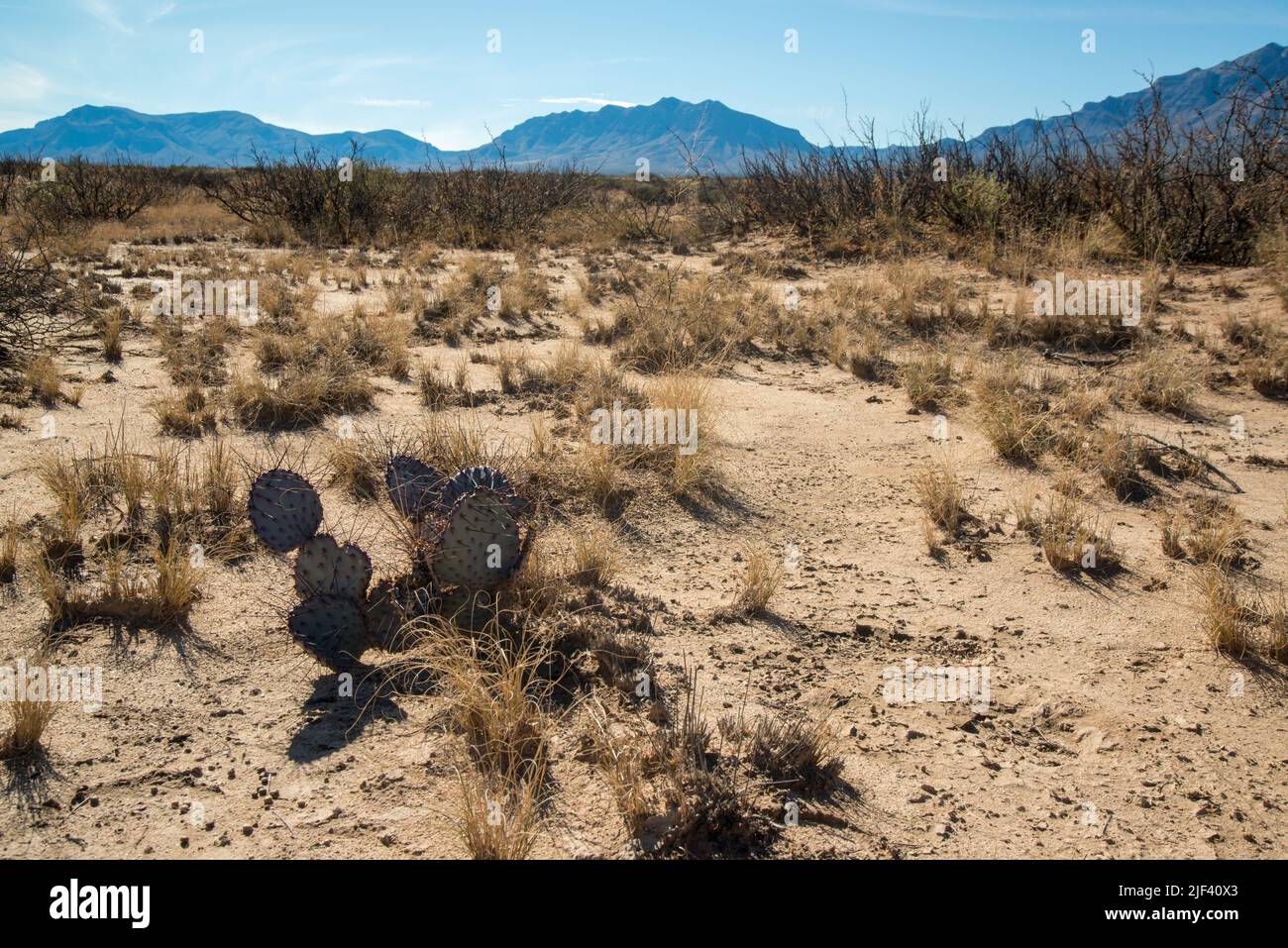 Lake lucero white sands national park hires stock photography and images Alamy