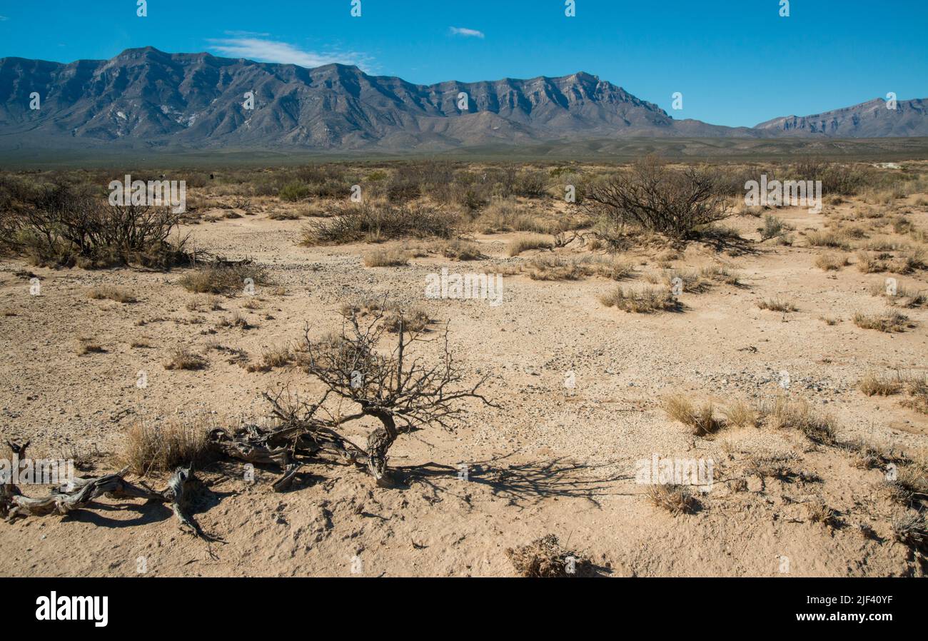 Lake lucero white sands national park hires stock photography and images Alamy