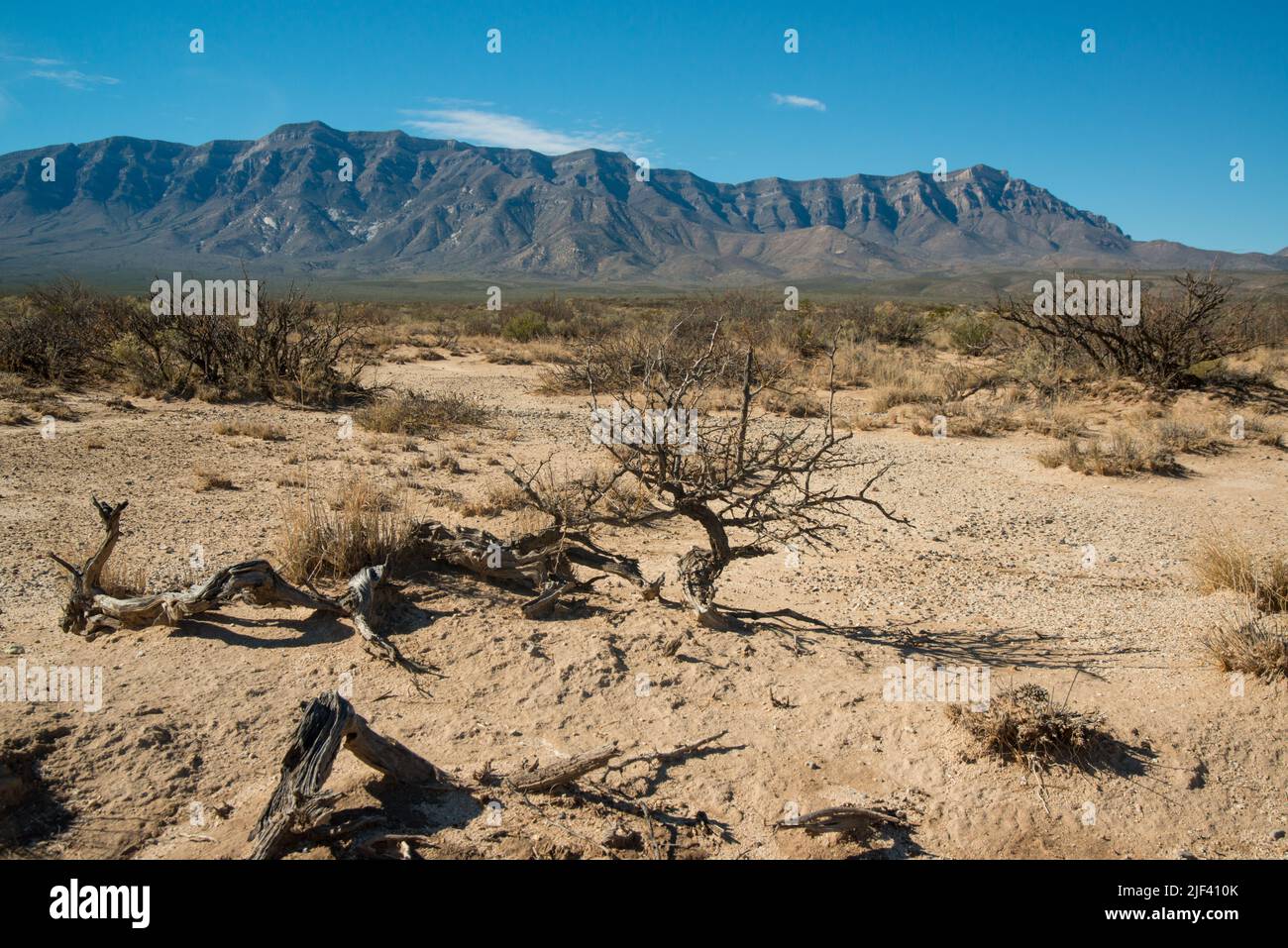 New Mexico desert landscape, gypsum crystals around a dried Lucero Lake