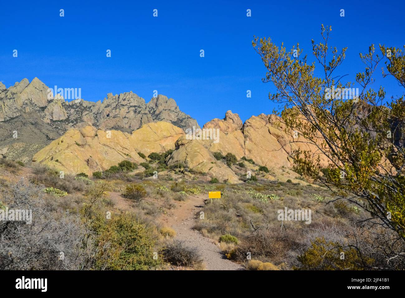 Hiking trail, Mountain landscape with yucca, cacti and desert plants in 'Organ Mountains-Desert Peaks National Monument' in New Mexico, USA Stock Photo
