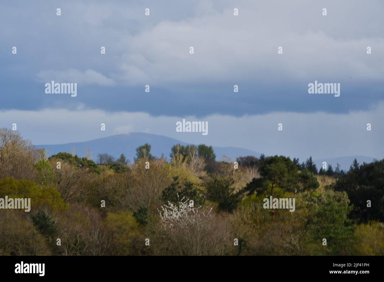 Wiev to Leinster Mountain from Kilkenny Castle Park Stock Photo