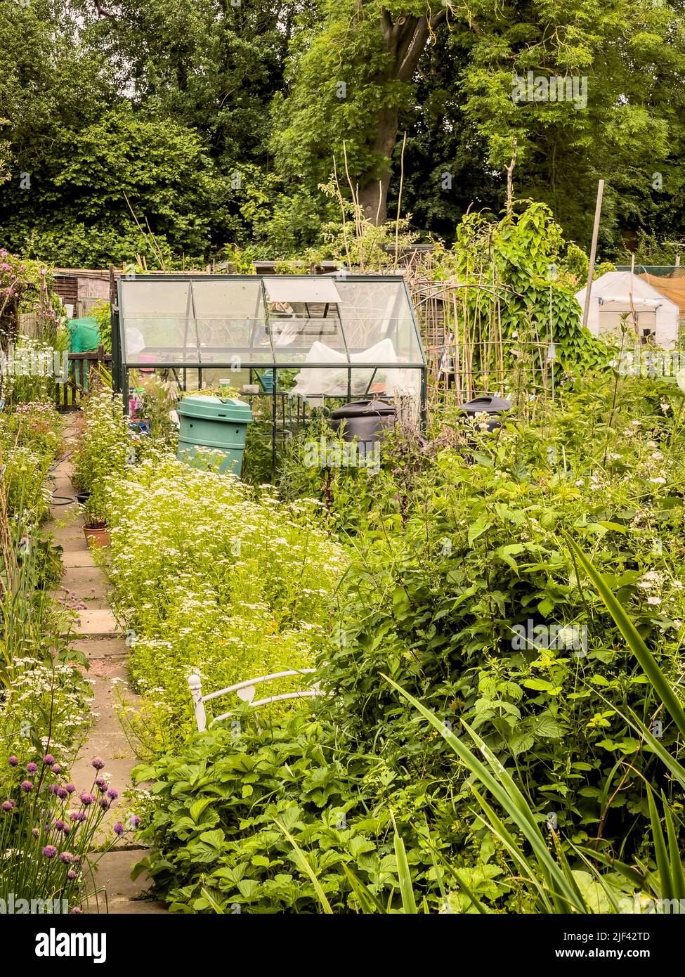 Growing allotment greenhouse hires stock photography and images Alamy