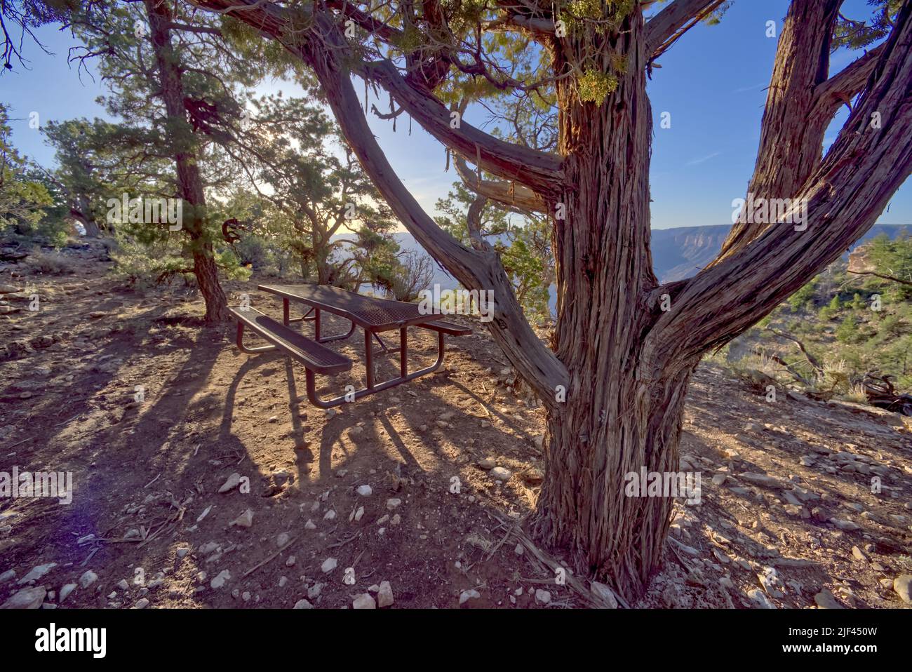 A lone picnic table just east of Shoshone Point at Grand Canyon Arizona. Public Park, no property release needed. Stock Photo