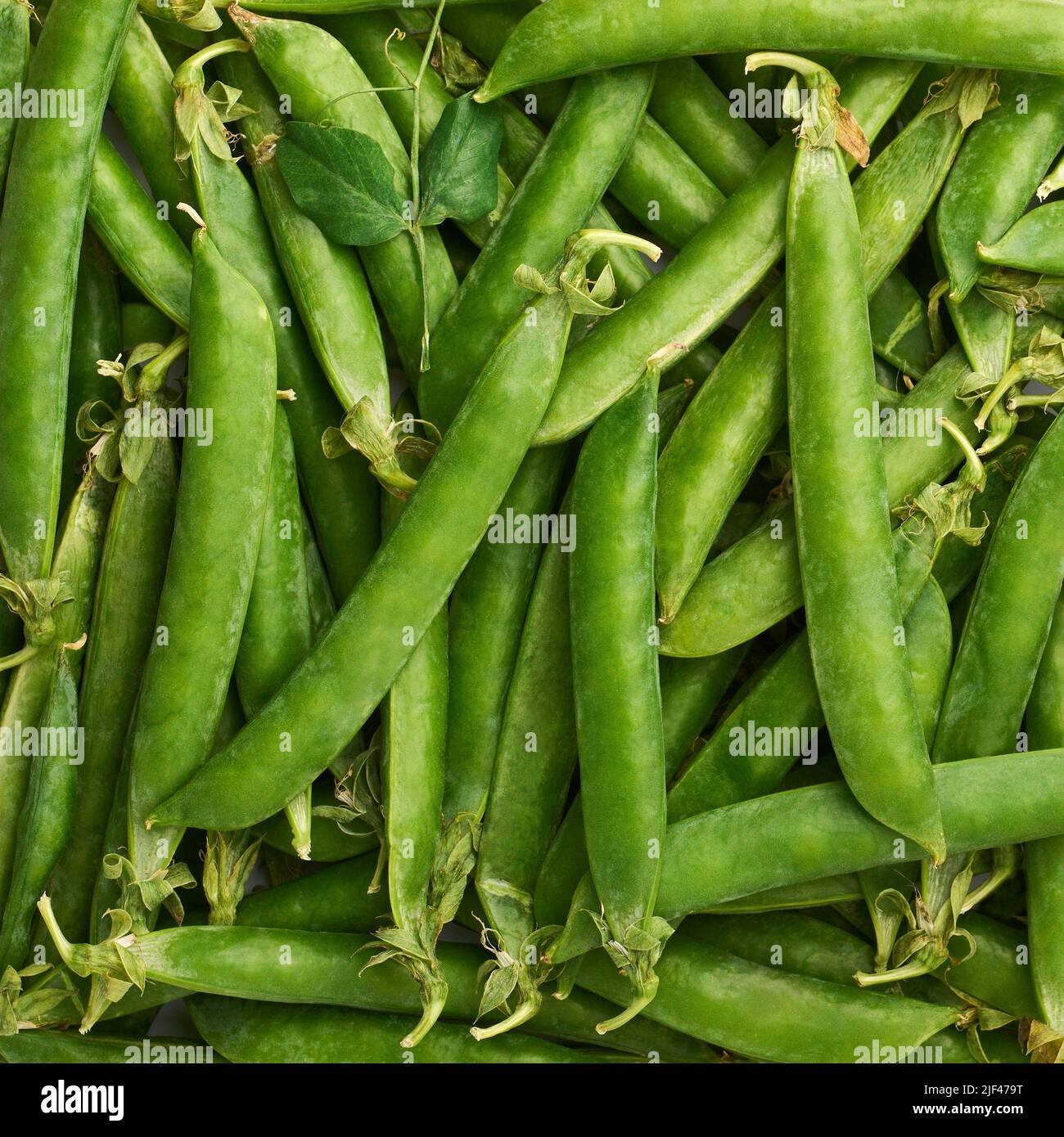 Green pea pods background, vegan raw food, organic farm products, close up Stock Photo