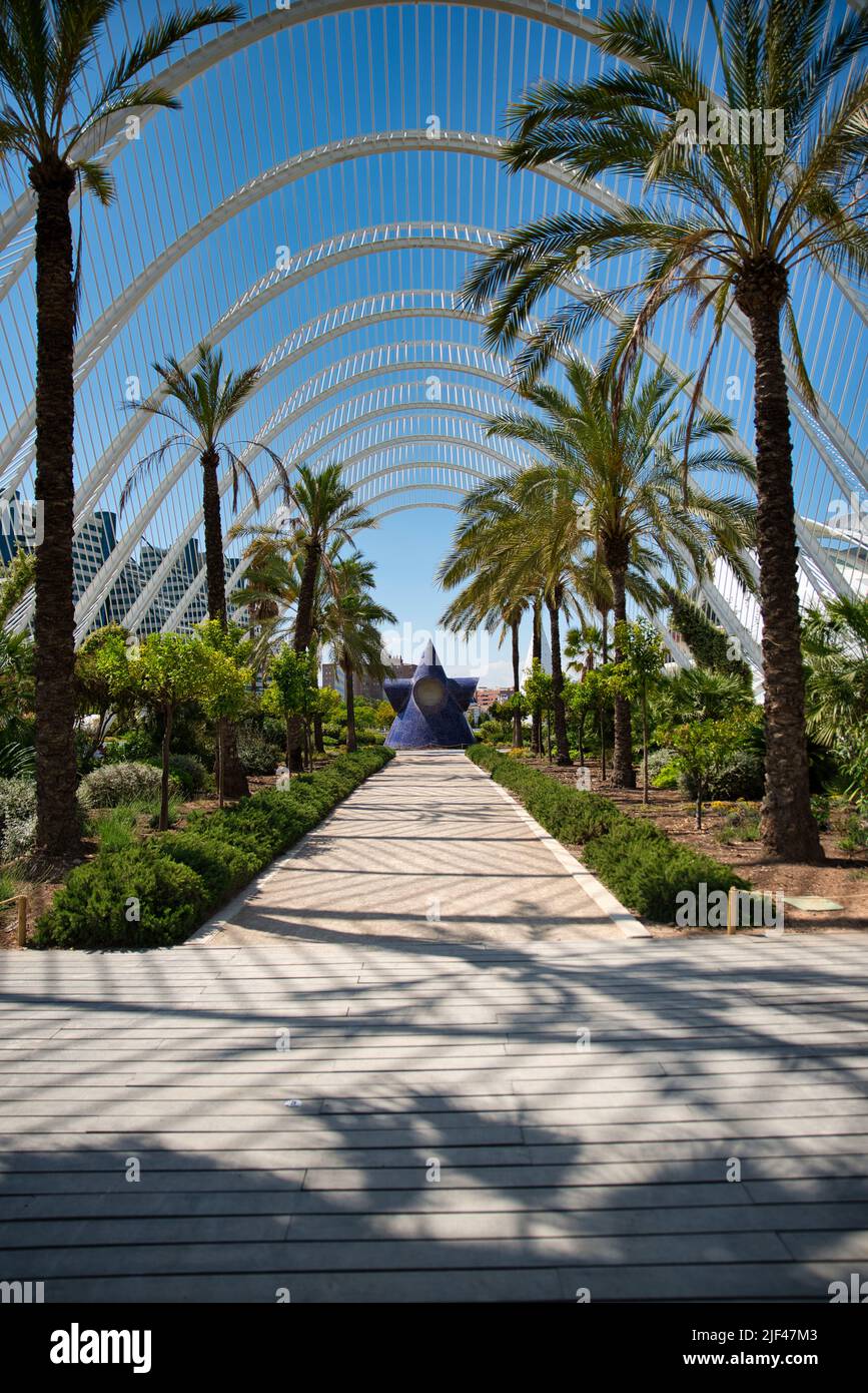 ciudad de las artes y las ciencias in Valencia Spanien Futuristic architecture,; City of Arts and Sciences park way palms in Valencia, Spain Stock Photo