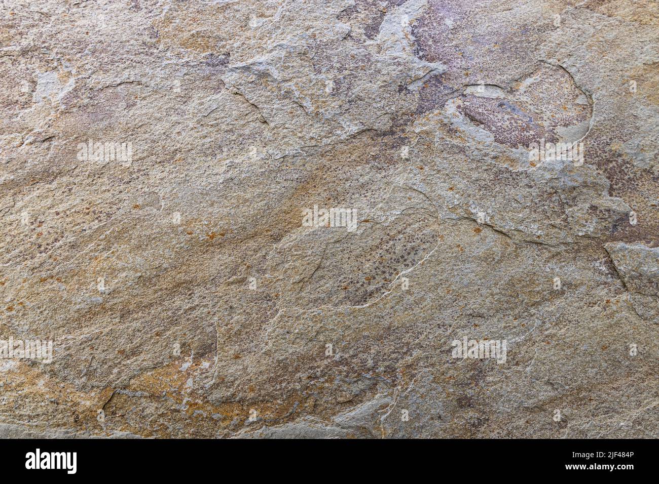 Stone slate in natural tones and with a rustic surface Stock Photo