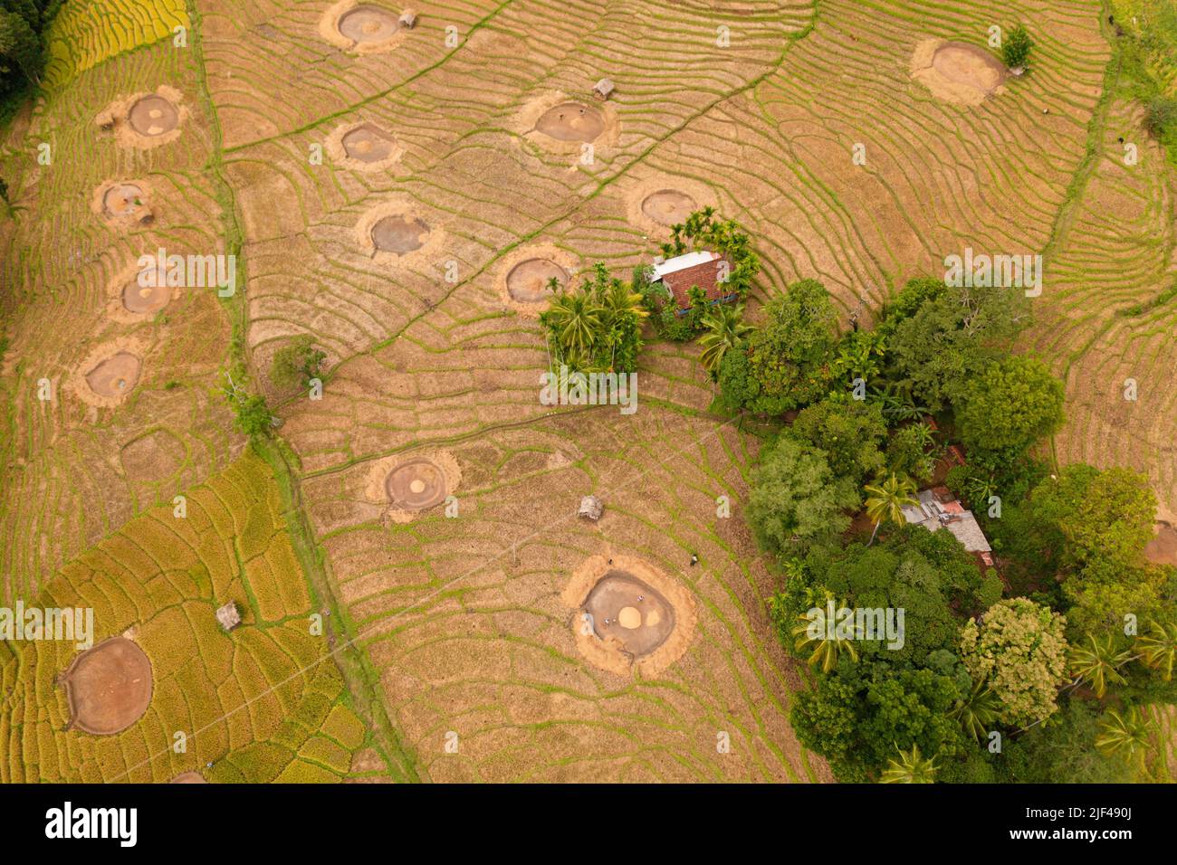 Aerial drone of Agricultural lands and rice fields in a mountain valley