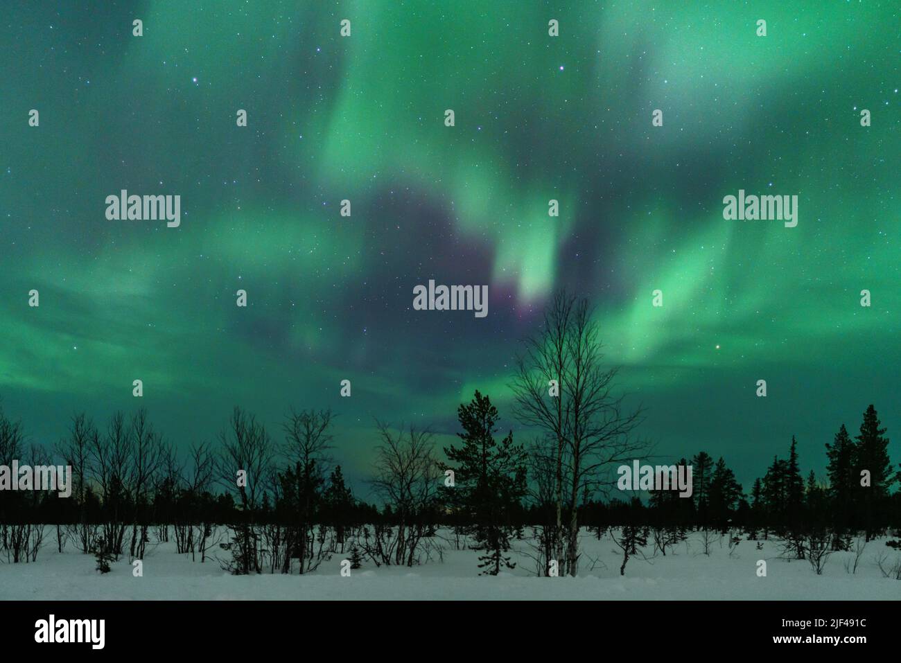 Wee Blue Coo Grußkarte „Nordlichter“ – Hochwertige Geburtstagskarte Mit Winterlandschaft, 12,5 X 17,5 Cm