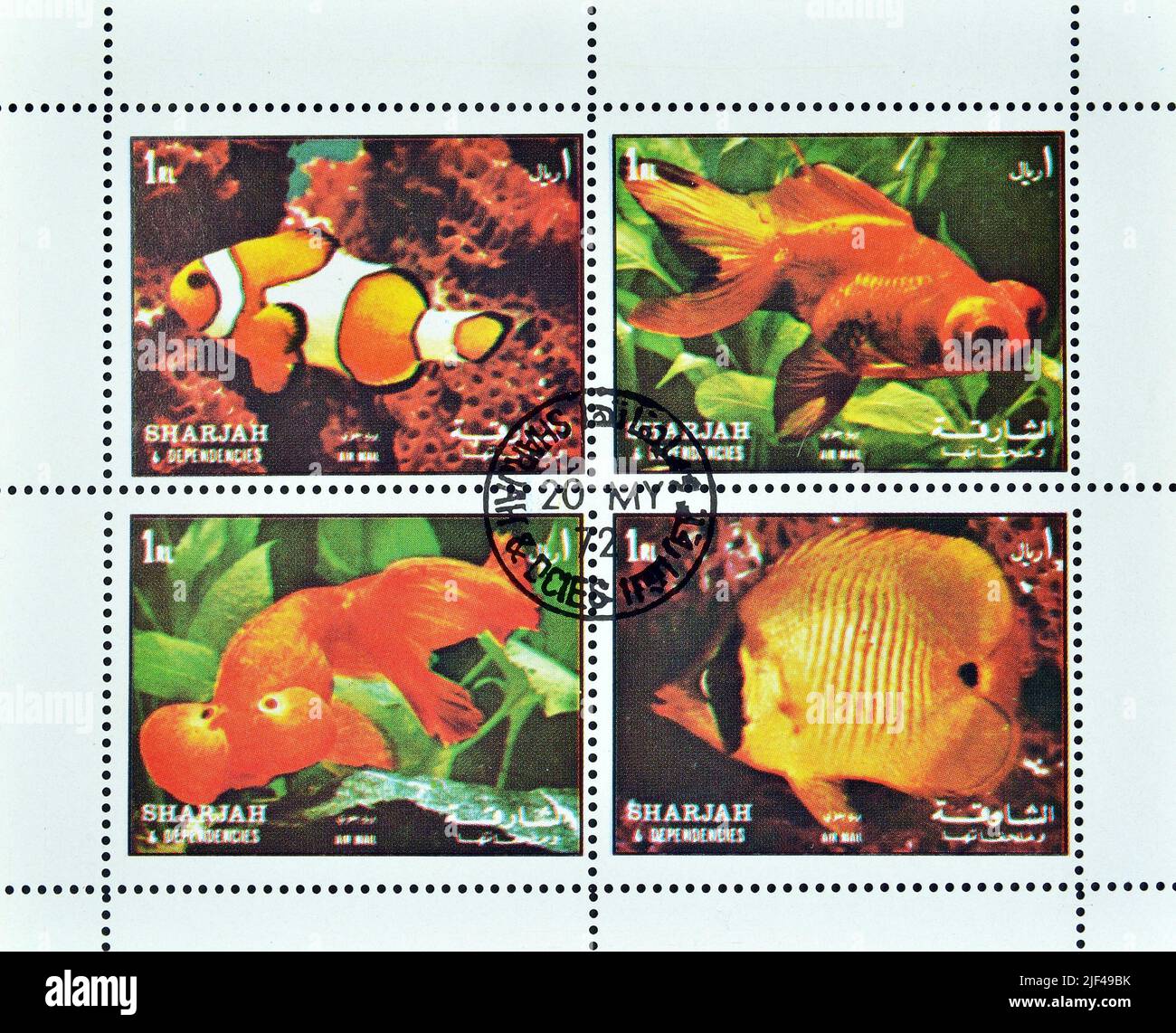 The Fan Campaign and Its Aftermath