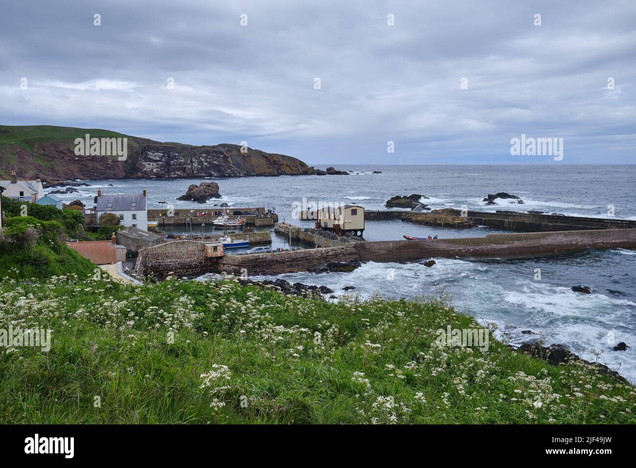 The harbour at St Abbs on the east Scottish coast Stock Photo