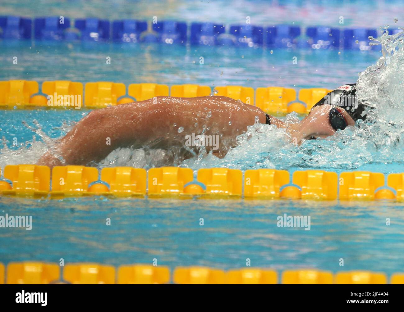 Katie Ledecky of USA Finale 1500 M Freestyle Women during the 19th FINA World Championships