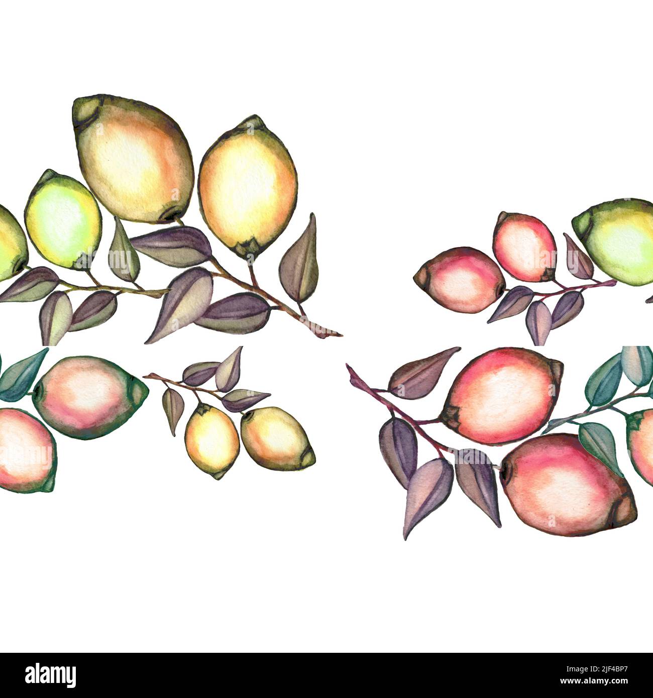 Hand drawn seamless watercolor pattern with branch of lemons. Floral ...