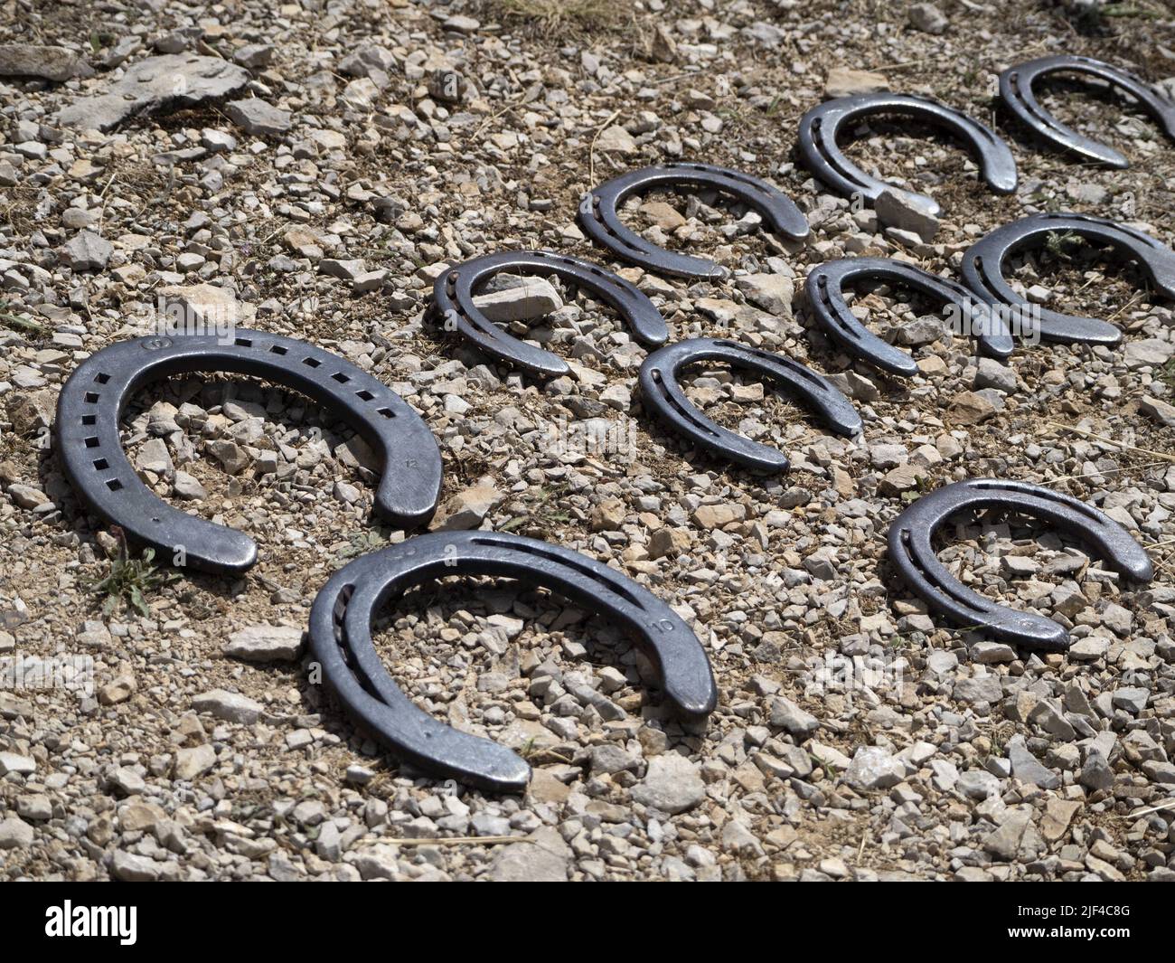 Blacksmith shoeing a donkey and cleaning hoof detail Stock Photo Alamy