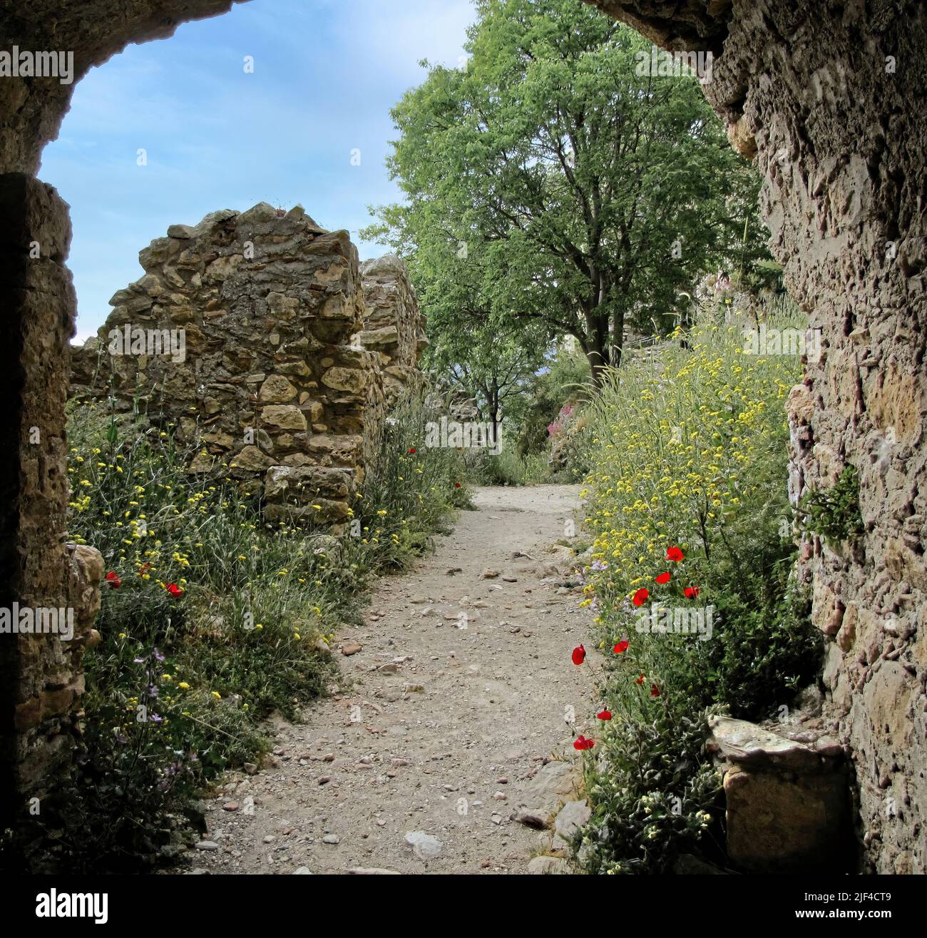 The Byzantine Archaeological Site Of Mystras In Peloponnese Greece the-byzantine-archaeological-site-of-mystras-in-peloponnese-greece