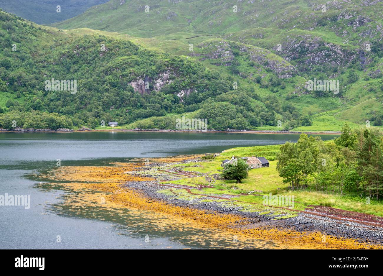 KINLOCH HOURN LOCH HOURN KNOYDART SCOTLAND EARLY SUMMER AND ISOLATED
