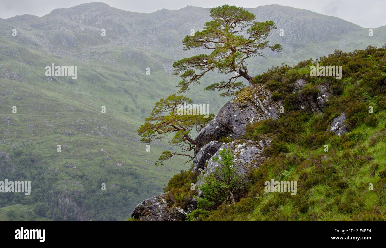KINLOCH HOURN LOCH HOURN KNOYDART SCOTLAND EARLY SUMMER HEAVY RAIN OVER