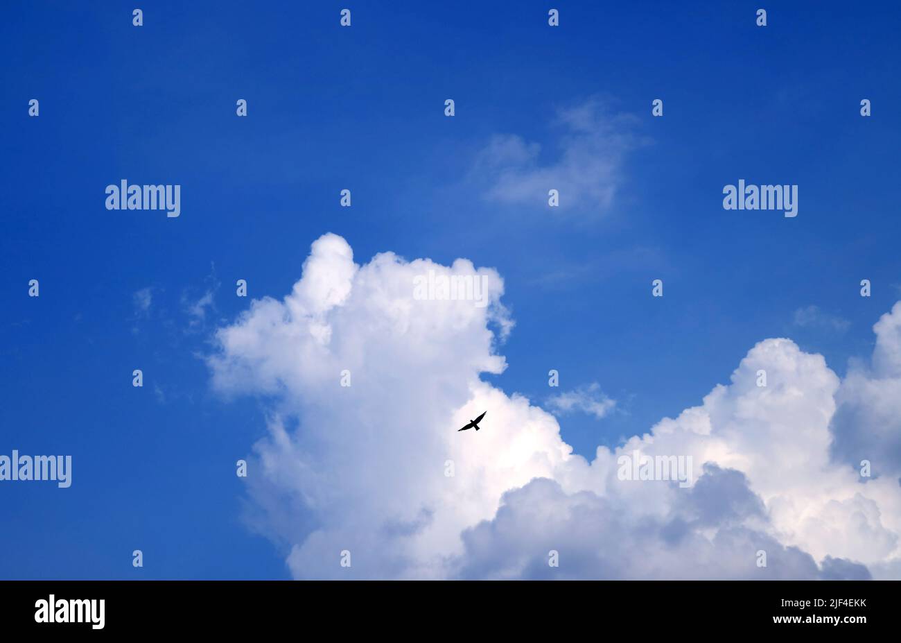 Fluffy White Clouds Floating on Vivid Blue Sky with a Silhouette of ...