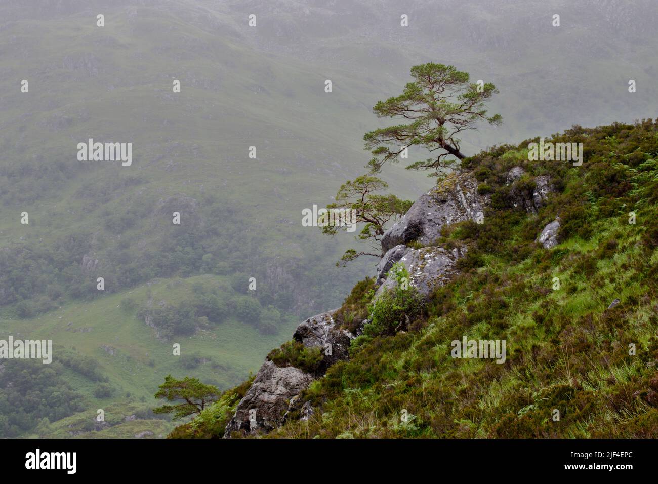 KINLOCH HOURN LOCH HOURN KNOYDART SCOTLAND IN EARLY SUMMER HEAVY RAIN