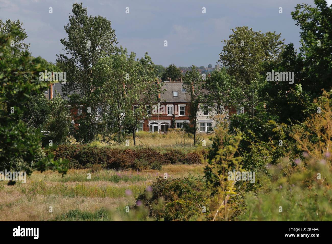 Property overlooking common land, Mitcham, London Stock Photo Alamy