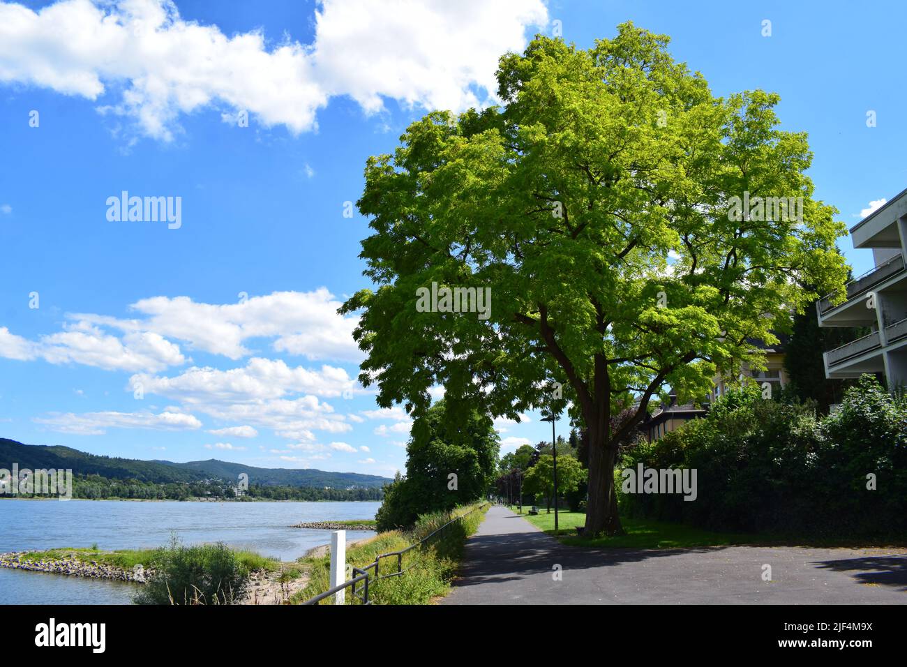 Rhine waterfront in Bonn Bad Godesberg Stock Photo Alamy
